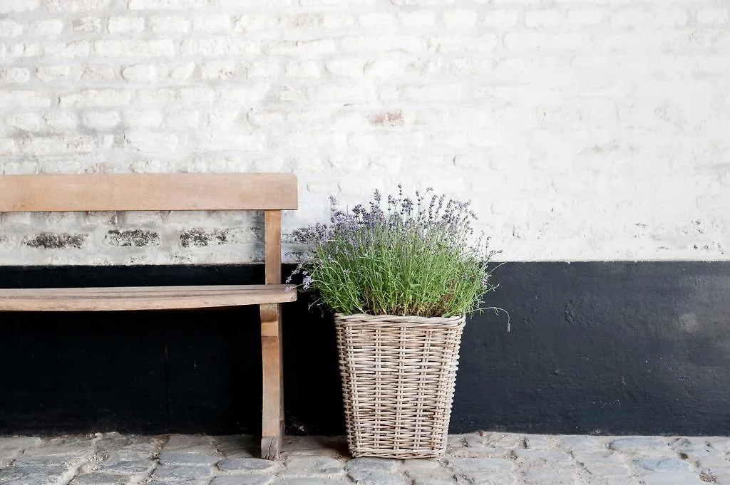 Lantställe Cour 8 Lofts Pensionat Maastricht